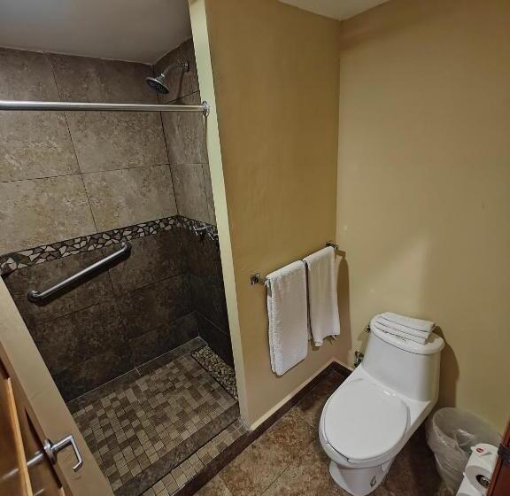 エコノミーシングルルーム, Seven Crown La Paz Centro Historico