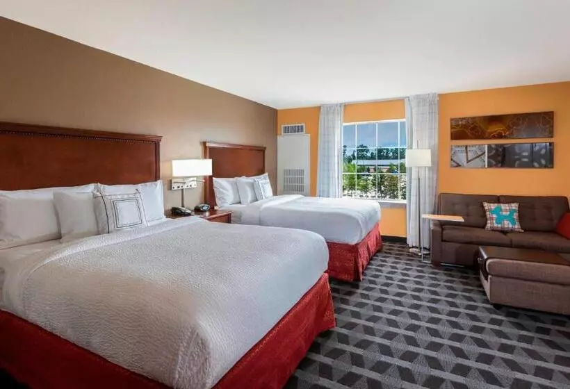 クイーンベッドのスタンダードスタジオ, Towneplace Suites Houston North/shenandoah