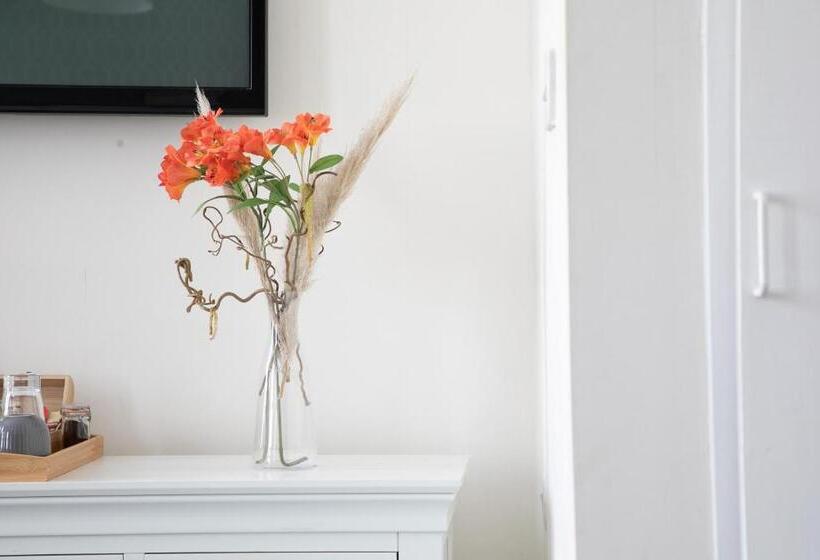 اتاق سوپریور خانوادگی, The Belmont