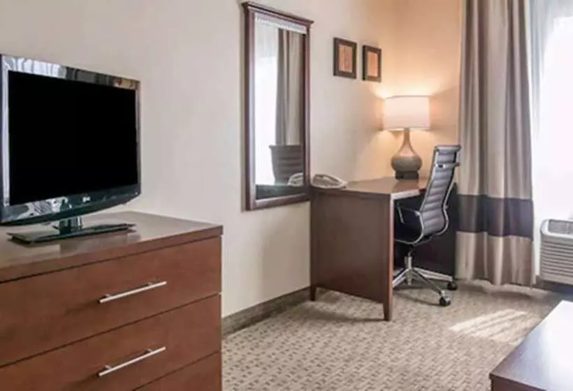 身障者適用スイートルーム, Comfort Suites