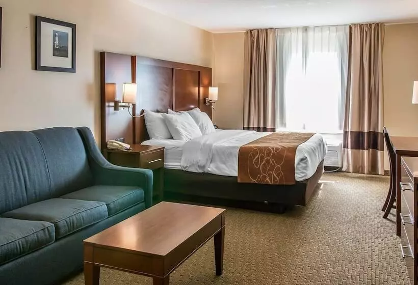 身障者適用スイートルーム, Comfort Suites