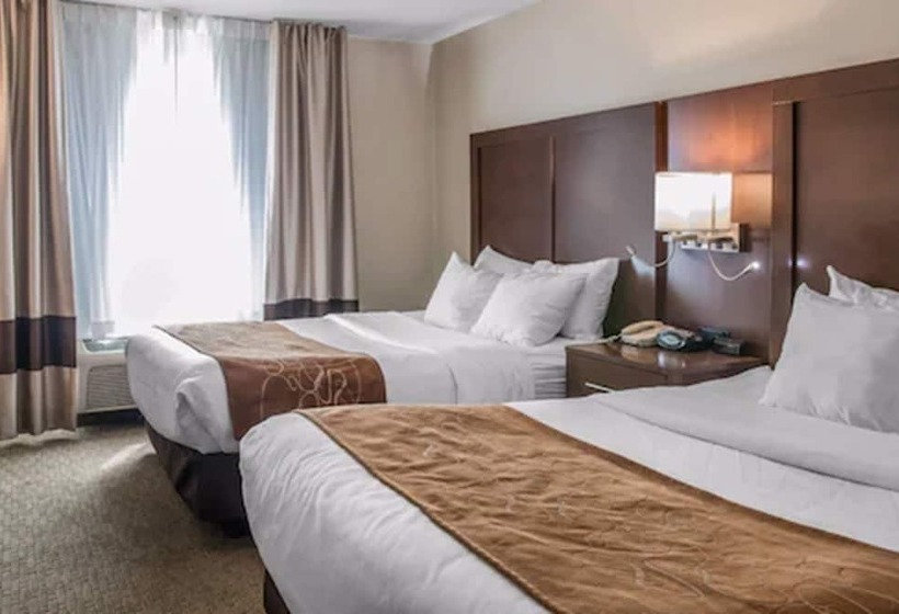 스위트, Comfort Suites