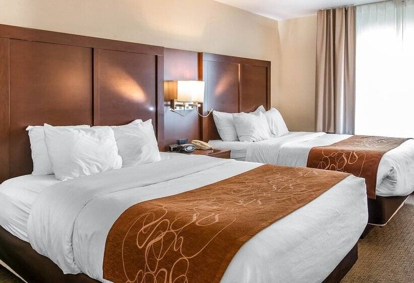 Люкс, Comfort Suites