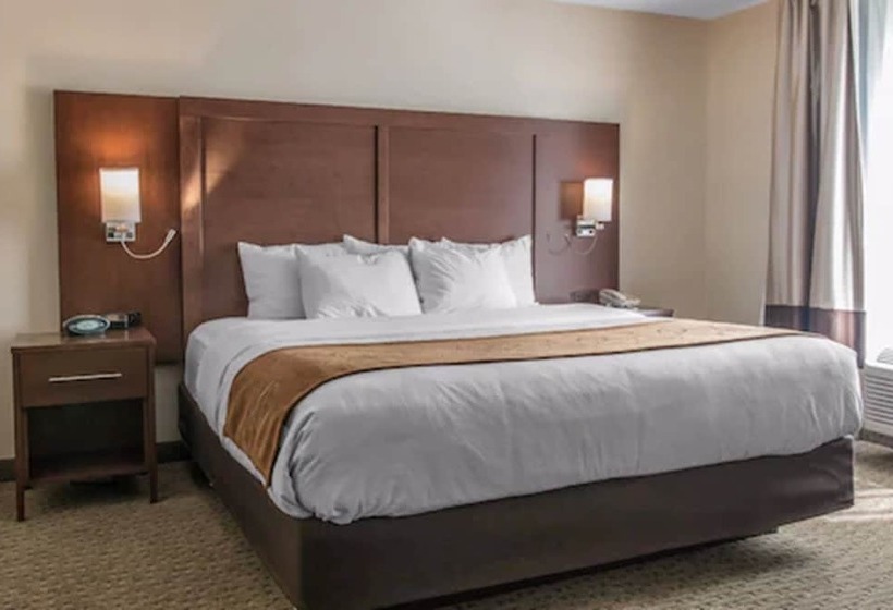 Люкс, Comfort Suites