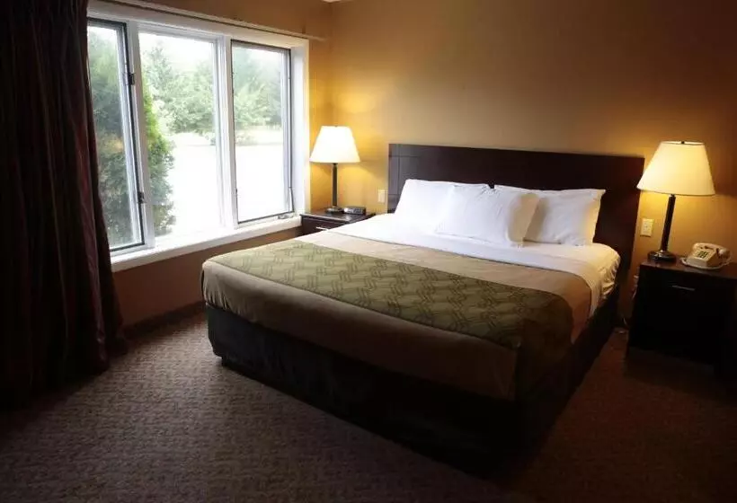 キングサイズベッドのスイートルーム, Quality Inn & Suites Munising