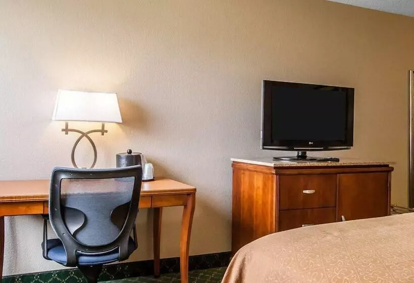 Standard-huone 2 Parivuodetta, Quality Inn Cairo I57