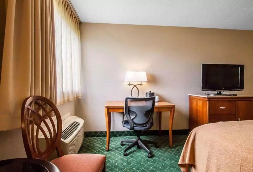 Standard-huone 2 Parivuodetta, Quality Inn Cairo I57