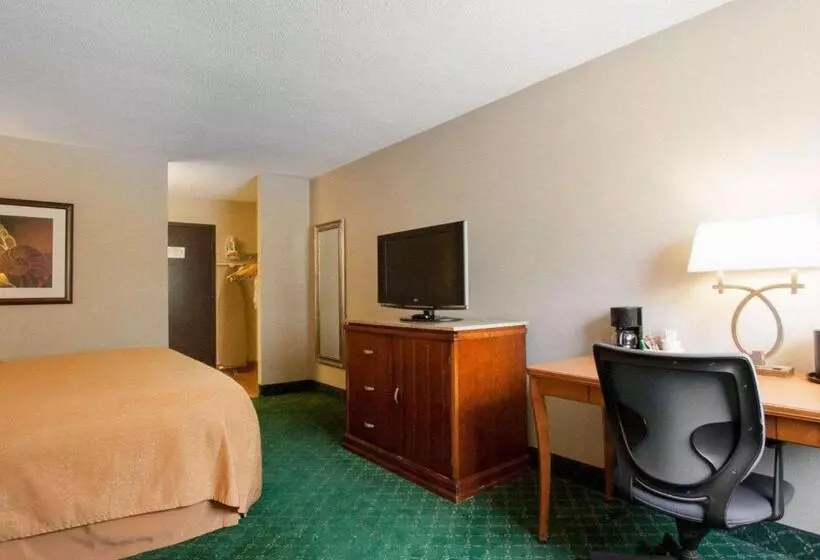 Standard-huone King-vuode, Quality Inn Cairo I57