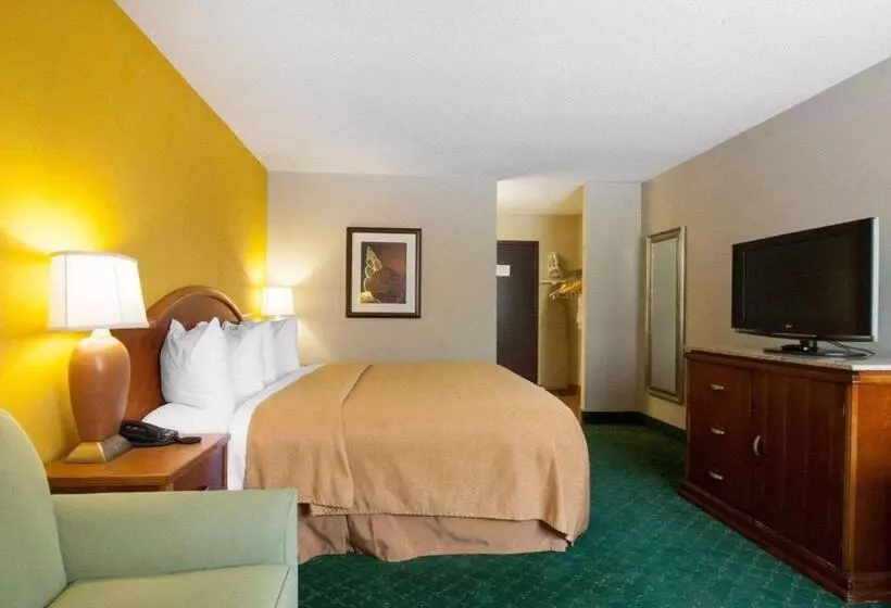 Standard-huone King-vuode, Quality Inn Cairo I57