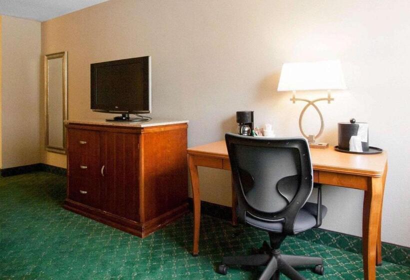 חדר סטנדרט עם מיטת קינג, Quality Inn Cairo I57