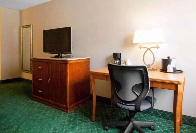 Standard-huone King-vuode, Quality Inn Cairo I57