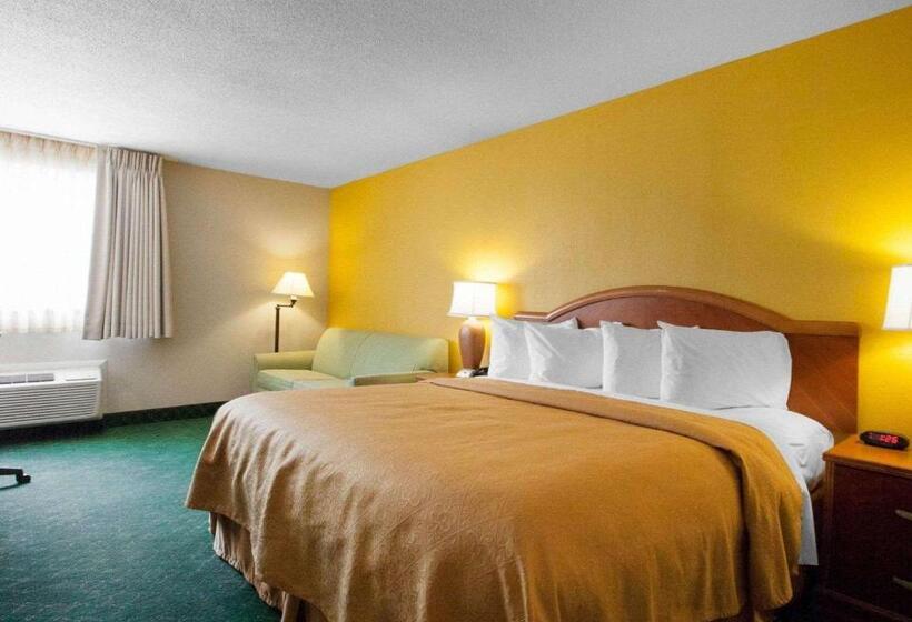 חדר סטנדרט עם מיטת קינג, Quality Inn Cairo I57