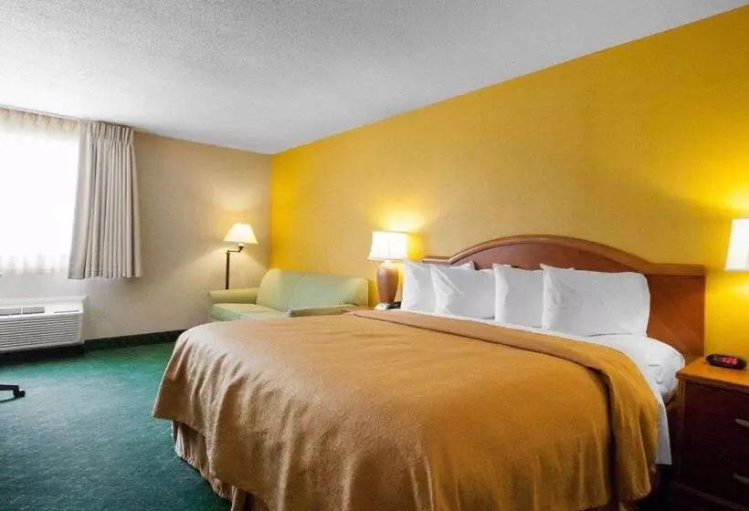 Standard-huone King-vuode, Quality Inn Cairo I57