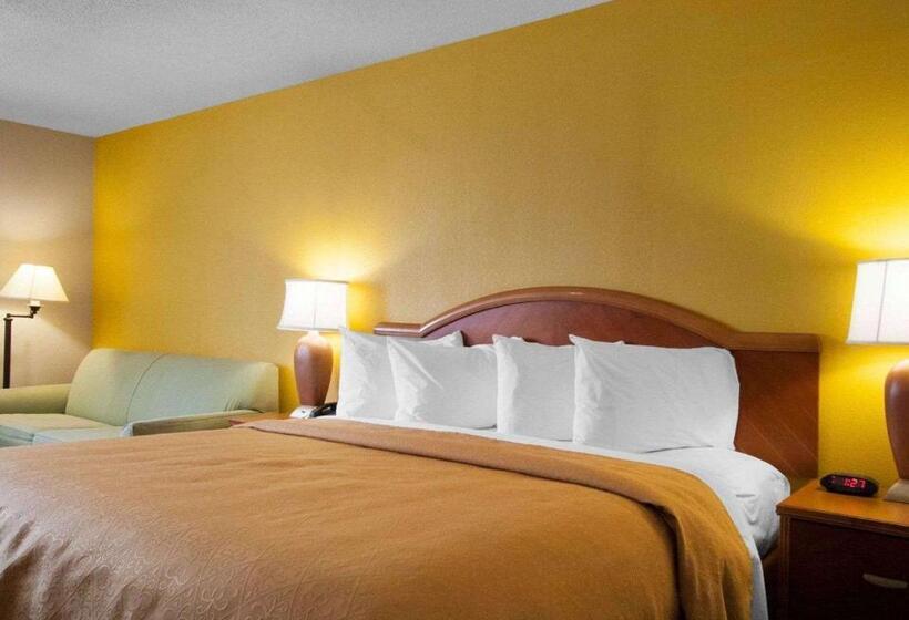 带大床的标准间, Quality Inn Cairo I57
