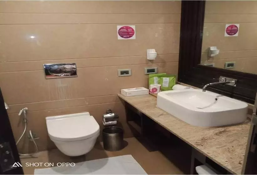 デラックスルーム, Royal Orchid Central Kireeti Hampi Hospet