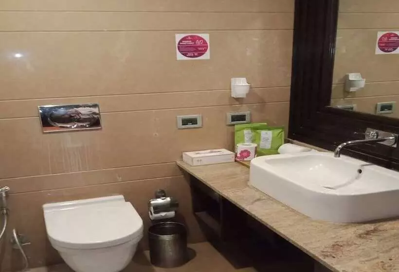 デラックスルーム, Royal Orchid Central Kireeti Hampi Hospet