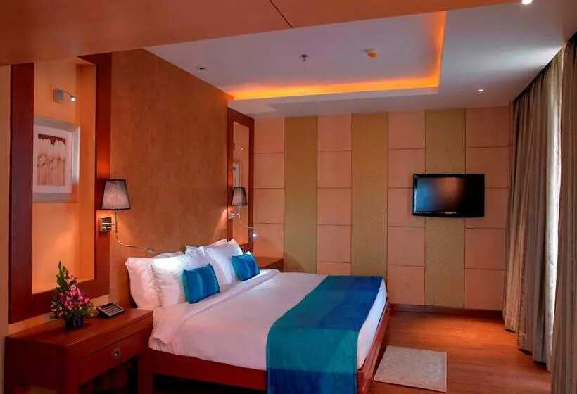 デラックスルーム, Royal Orchid Central Kireeti Hampi Hospet