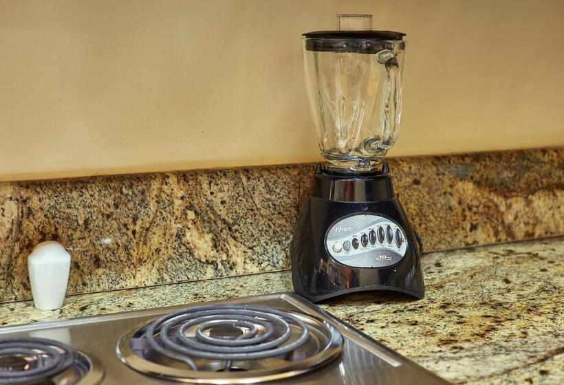 Студия Стандарт, San Angel Suites