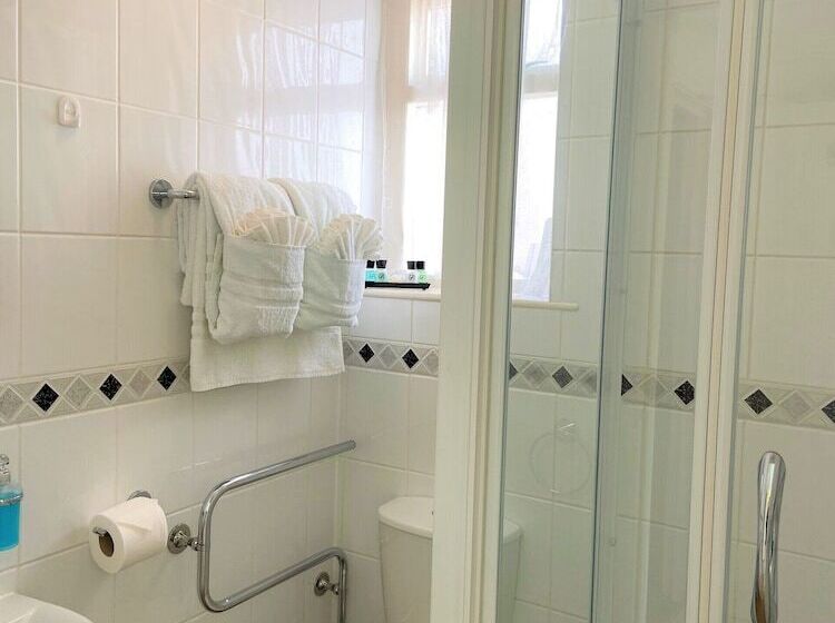 Номер Стандарт, The Briars