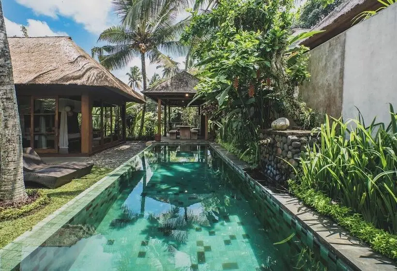 2 Bedroom Villa