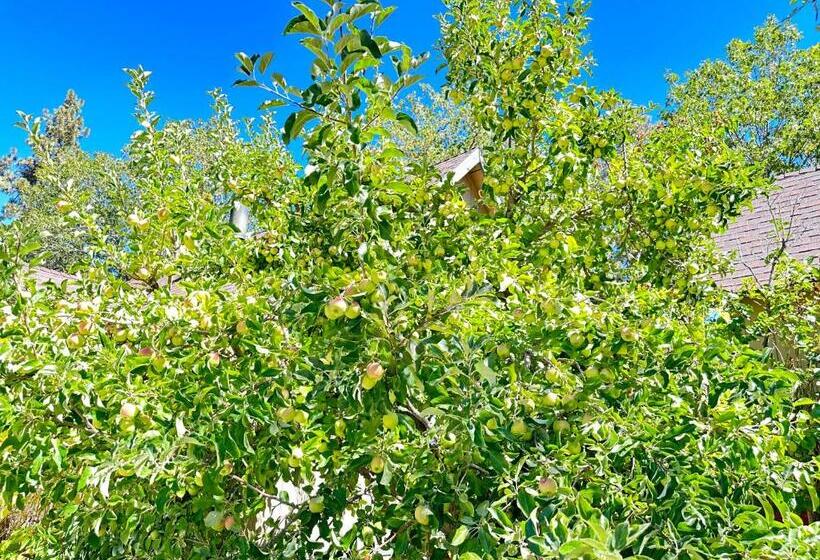 Люкс, Bear Creek Resort