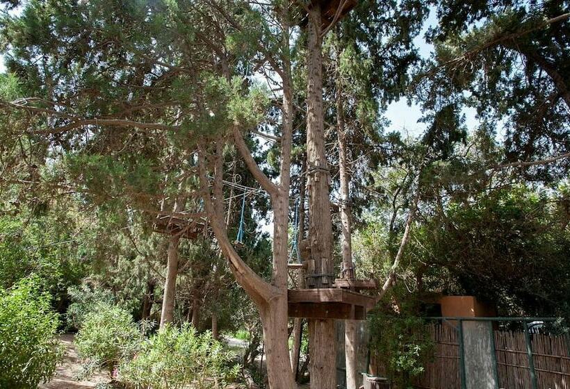 اتاق یک تخته با چشمانداز باغ, El Ksar Resort & Thalasso