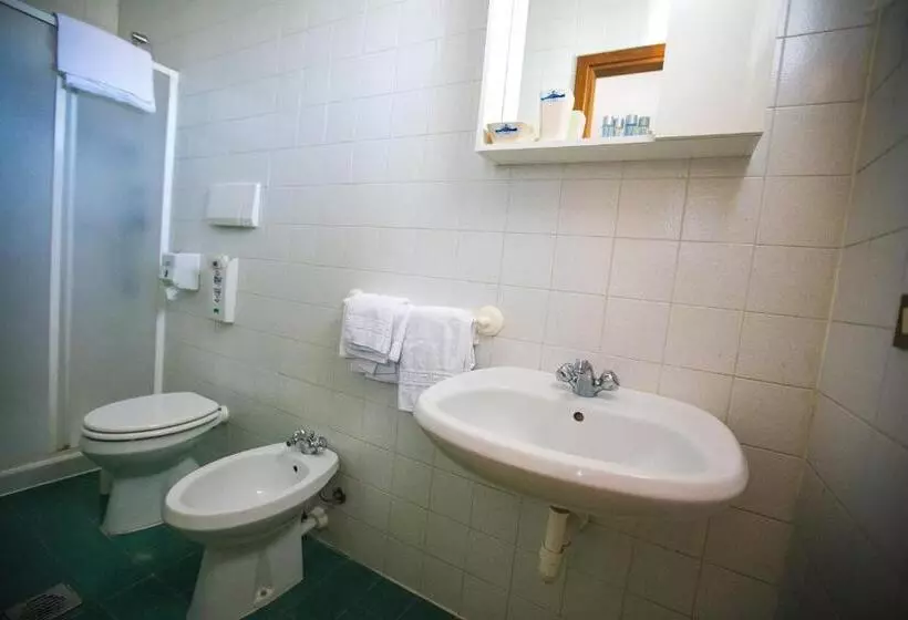 Standard Kolmen Hengen Huone, Agli Olmi