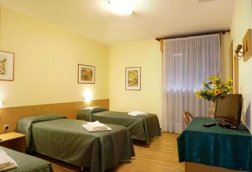 Standard Kolmen Hengen Huone, Agli Olmi