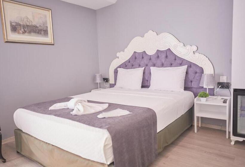 اتاق استاندارد یک نفره, Albatros Hagia Sophia