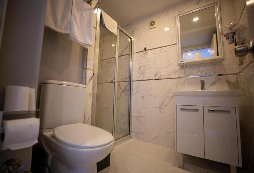 اتاق استاندارد با بالکن, Albatros Hagia Sophia