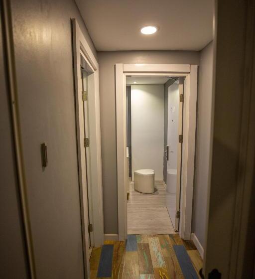 اتاق خانوادگی تودرتو, Albatros Hagia Sophia