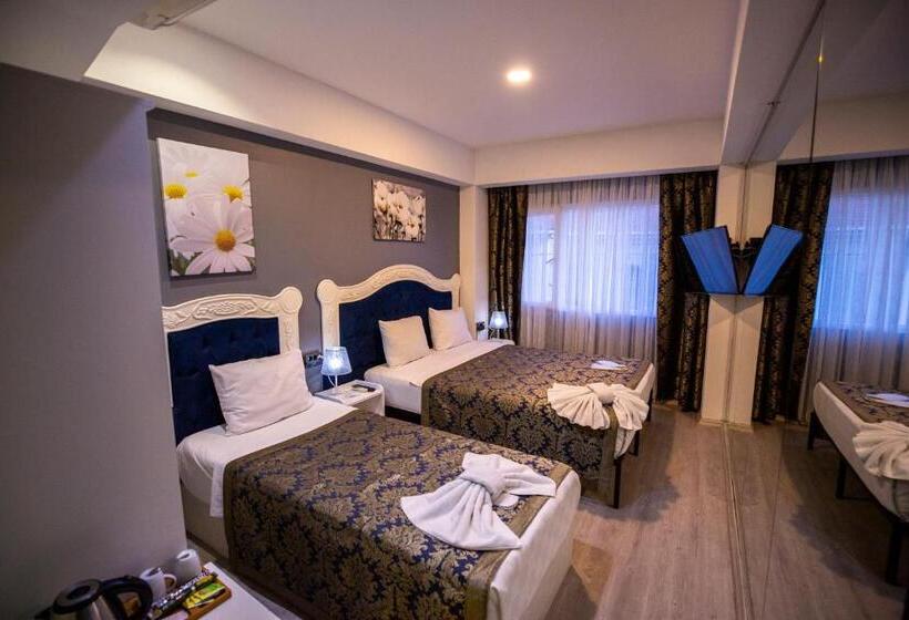 اتاق خانوادگی تودرتو, Albatros Hagia Sophia