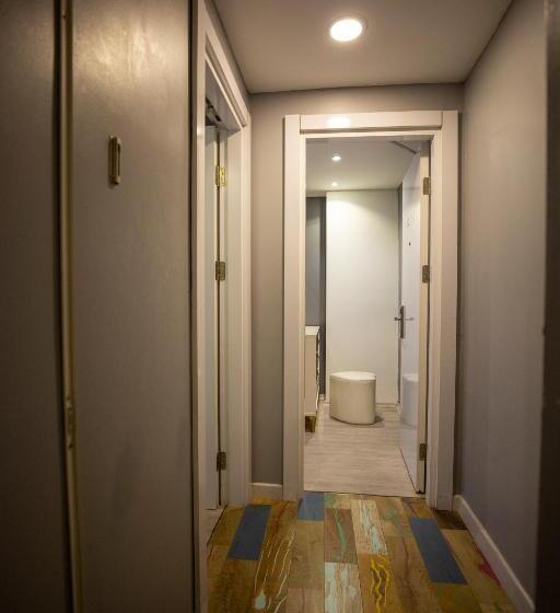 اتاق خانوادگی تودرتو, Albatros Hagia Sophia