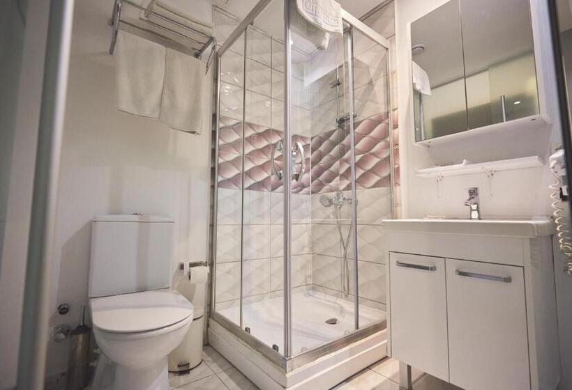 اتاق خانوادگی تودرتو, Albatros Hagia Sophia