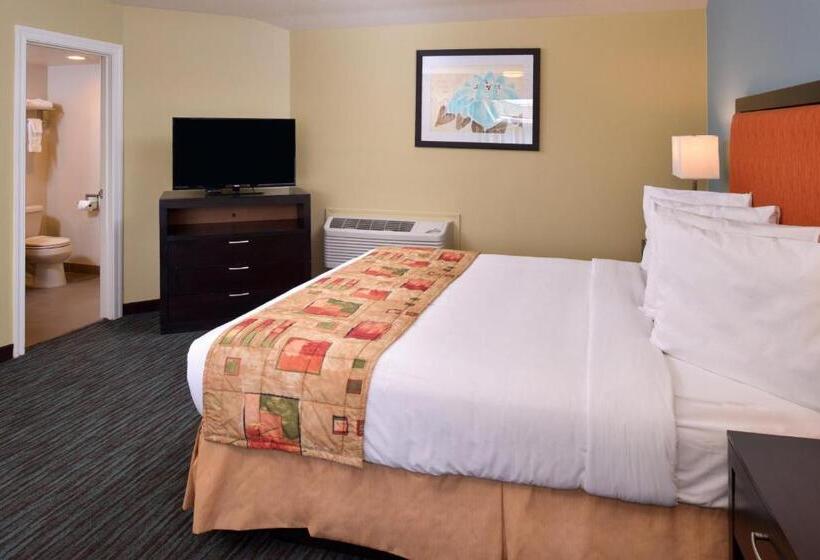 Номер Стандарт, Bay View Inn   Morro Bay