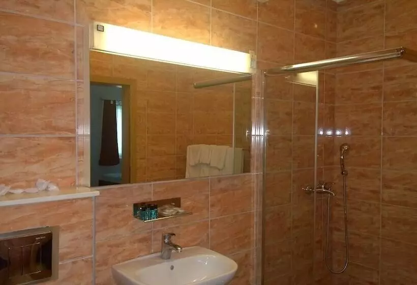 اتاق استاندارد, Bm International