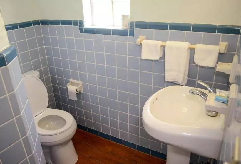 اتاق استاندارد با تخت بزرگ, Economy Inn
