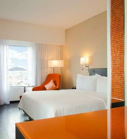 اتاق سوپریور با تخت بزرگ, Fiesta Inn Puebla Las Animas