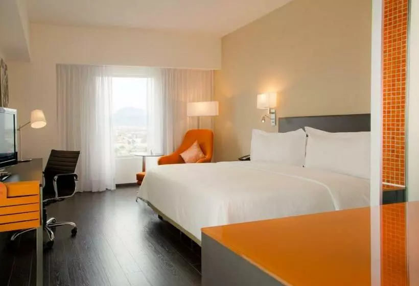 اتاق سوپریور با تخت بزرگ, Fiesta Inn Puebla Las Animas