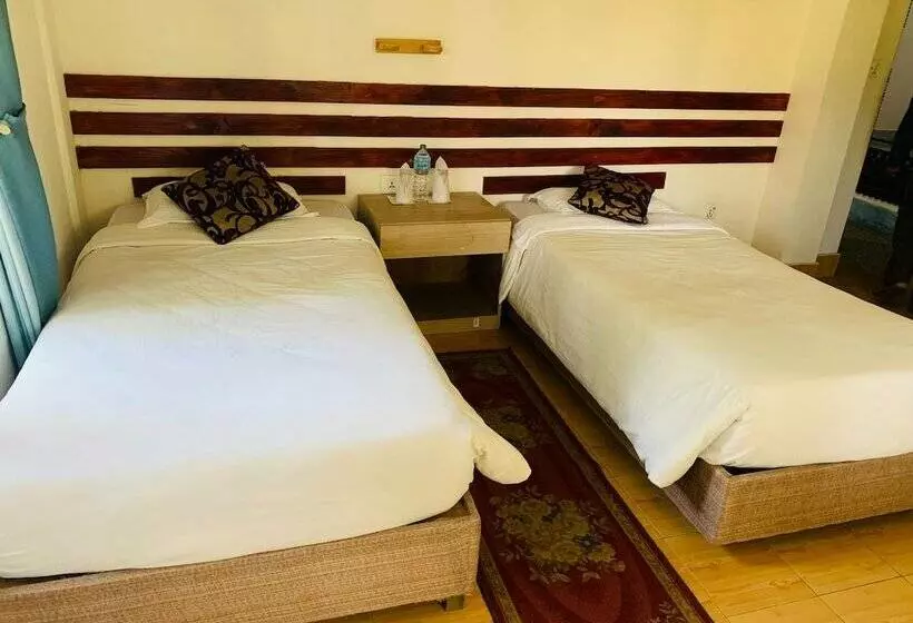 اتاق استاندارد, Parkside