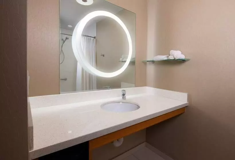 スタンダードスタジオ, Springhill Suites By Marriott San Angelo