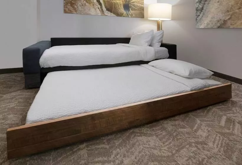 スタンダードスタジオ, Springhill Suites By Marriott San Angelo