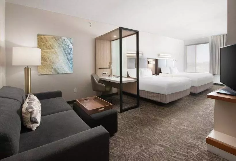 スタンダードスタジオ, Springhill Suites By Marriott San Angelo
