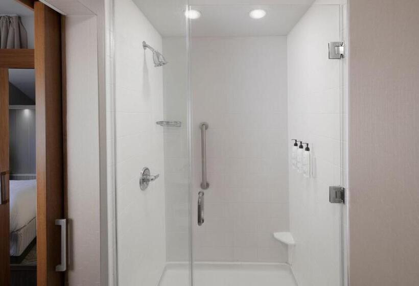 إستوديو قياسى سرير كينج, Springhill Suites By Marriott San Angelo