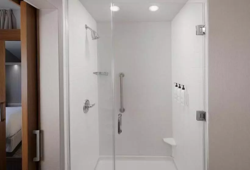 キングサイドベッドのスタンダードワンルーム, Springhill Suites By Marriott San Angelo