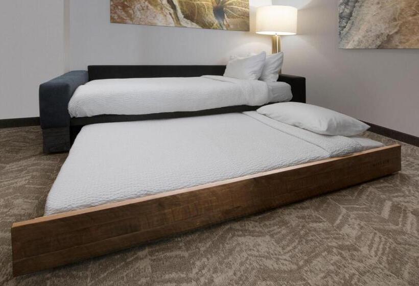 Студио Стандарт Кровать Кинг, Springhill Suites By Marriott San Angelo