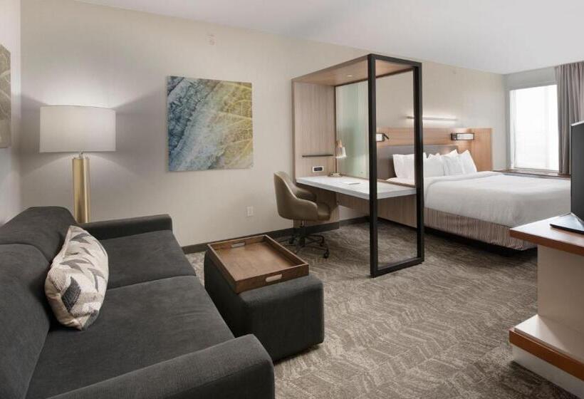 إستوديو قياسى سرير كينج, Springhill Suites By Marriott San Angelo