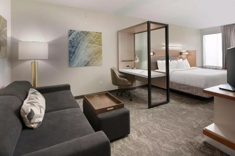 キングサイドベッドのスタンダードワンルーム, Springhill Suites By Marriott San Angelo