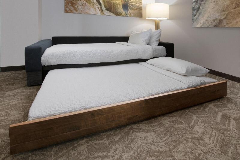 إستوديو قياسى سرير كينج, Springhill Suites By Marriott San Angelo