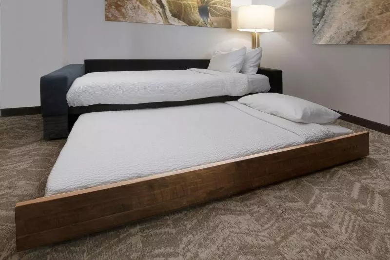 キングサイドベッドのスタンダードワンルーム, Springhill Suites By Marriott San Angelo